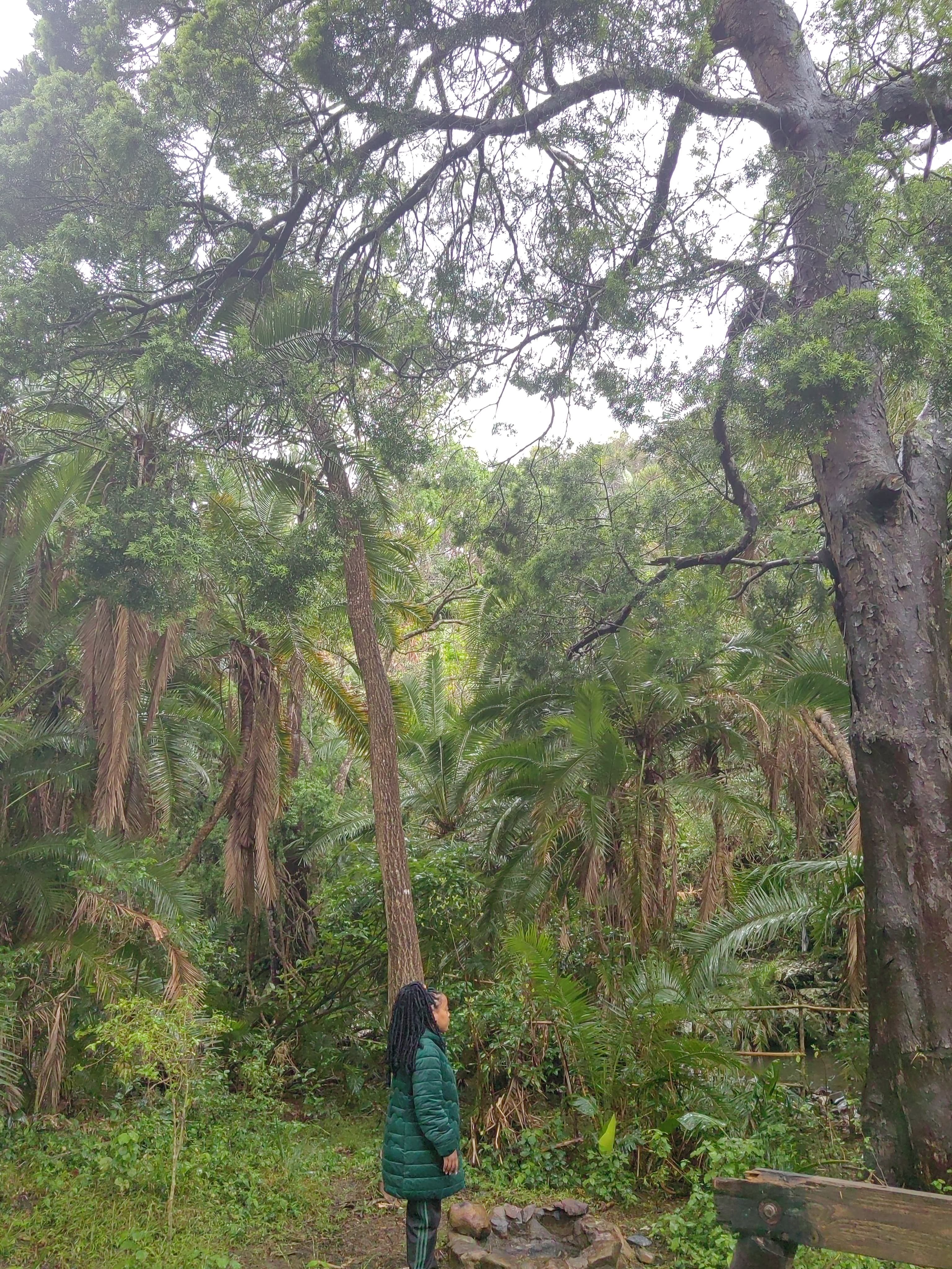 Nanda beneath an indigenous forest canopy — where she comes from.